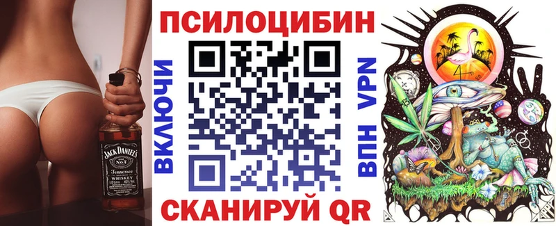 darknet клад  Туран  Галлюциногенные грибы Magic Shrooms  купить наркотики цена 